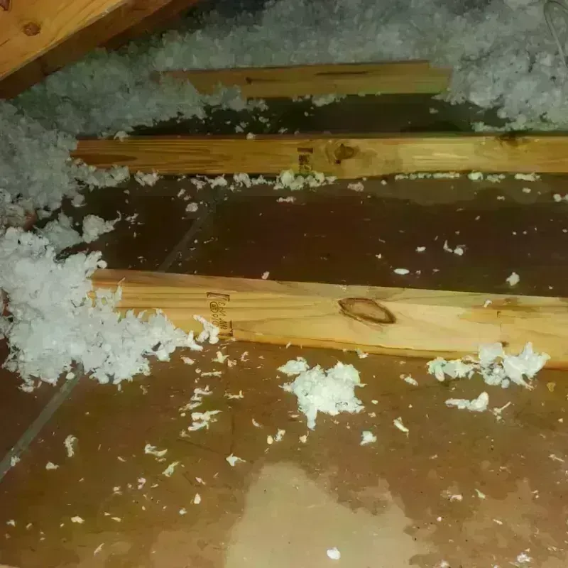 Attic Water Damage in El Centro, CA