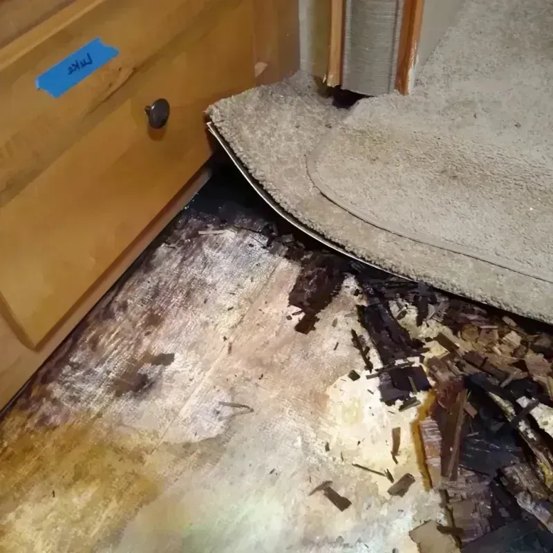 Wood Floor Water Damage in El Centro, CA